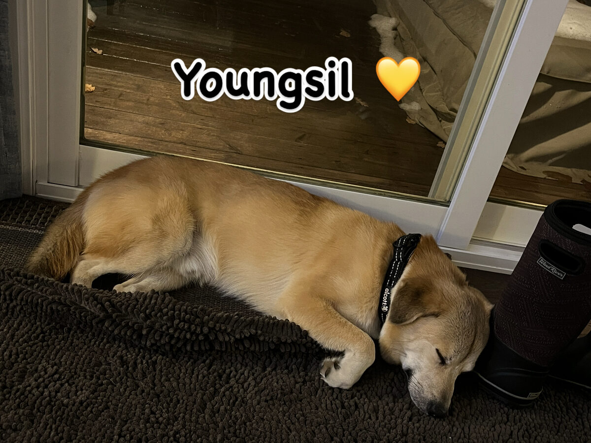 Youngsil